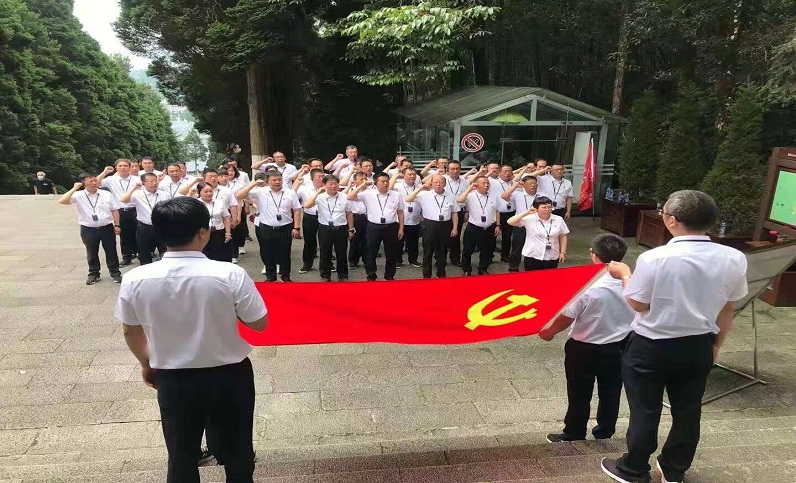 這一年，黨建引領(lǐng)增活力