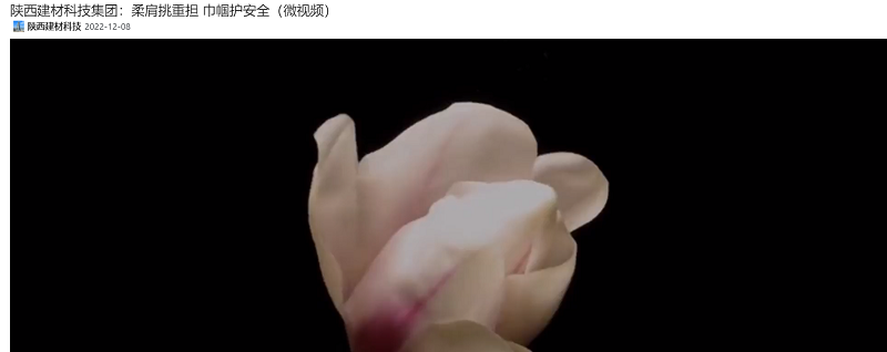 奮進(jìn)陜煤、陜煤集團(tuán)抖音、陜煤集團(tuán)微信公眾號(hào) | 陜西建材科技集團(tuán)：柔肩挑重?fù)?dān) 巾幗護(hù)安全（微視頻）